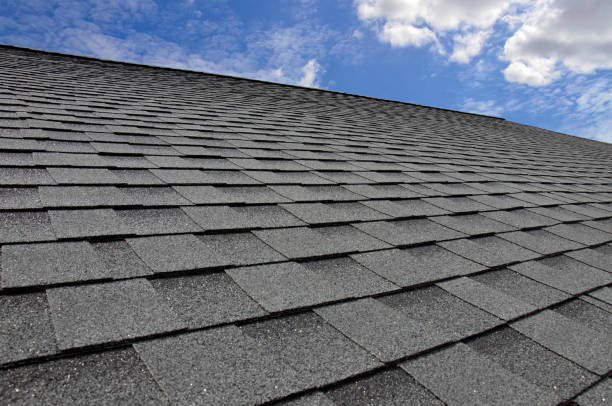 Best Roof Insulation Installation  in Bradner, OH